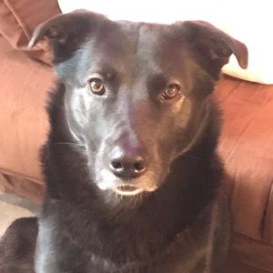 Meet your Posher, Jake